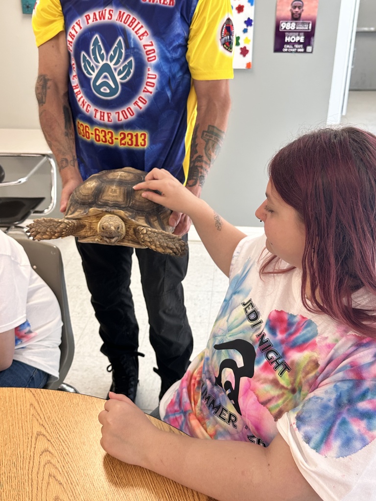 Girl petting a turtle
