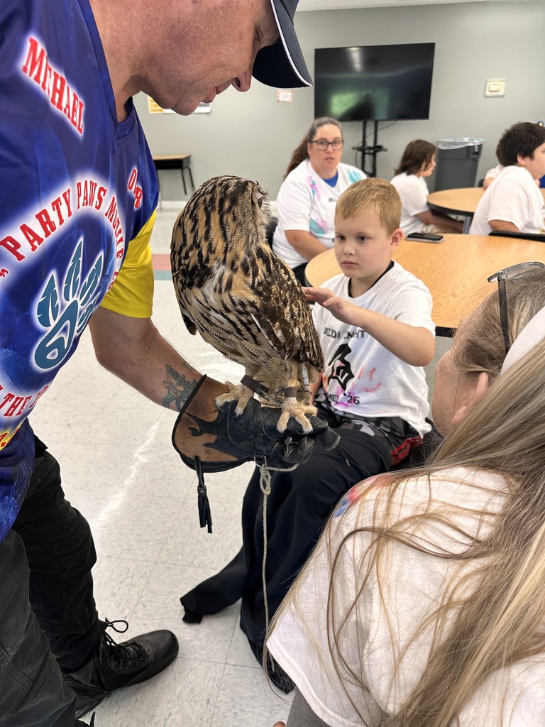 Boy petting an owl