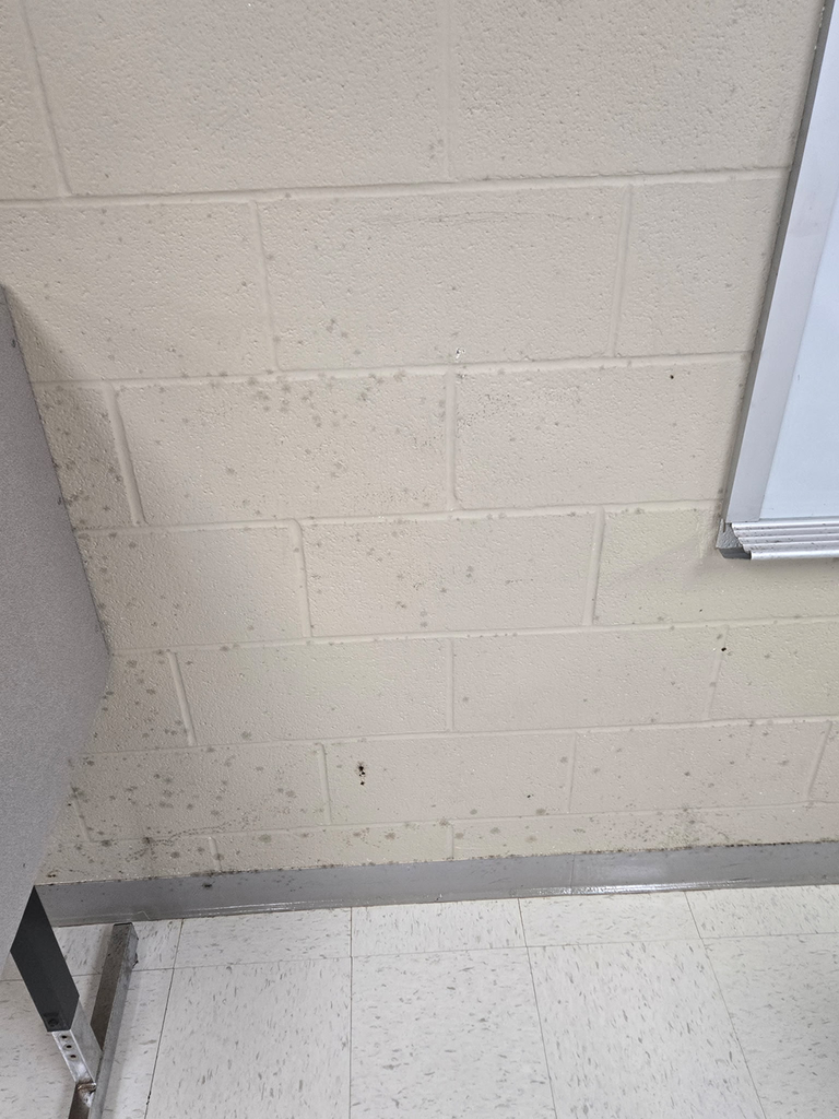 Discolored wall