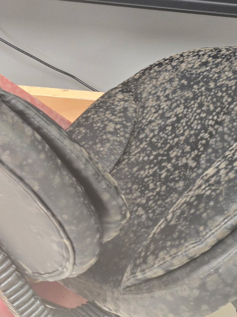 Close-up of a black leather saddle with white spots and a curved shape. It rests on a red cushion. A black cord is nearby.