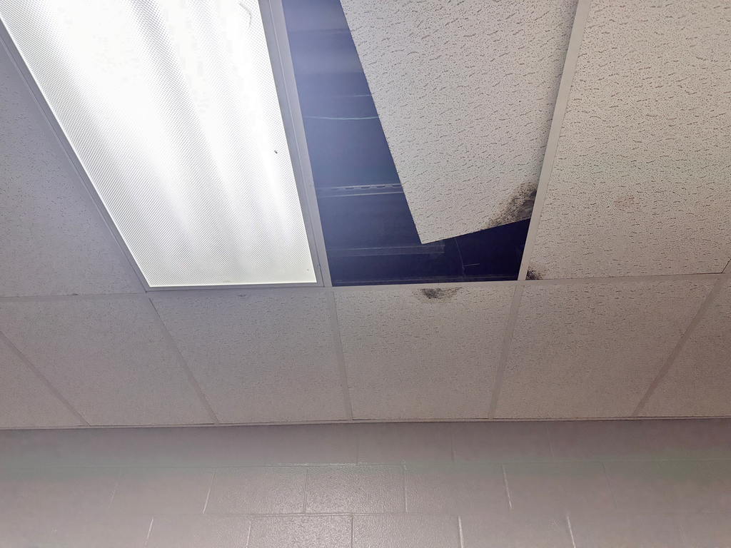A white ceiling with a square tile design. A fluorescent light is mounted on the left. A section of the ceiling is damaged.