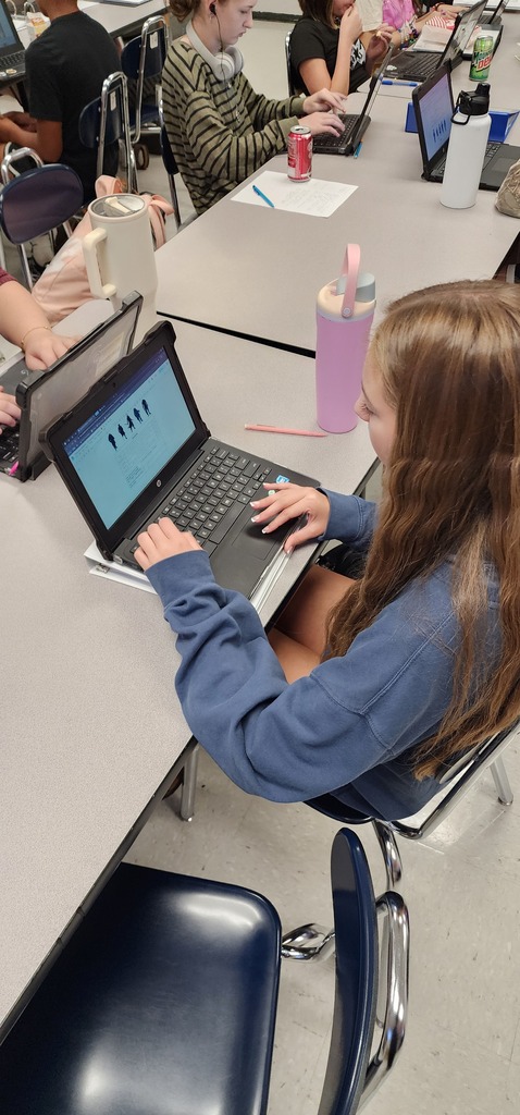 students creating voyages