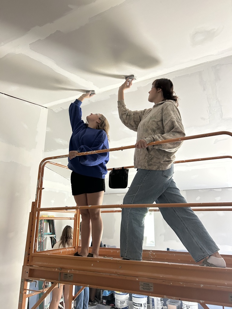 Two women on a scaffolding, one with a paint roller, painting a ceiling. A white wall is visible.
