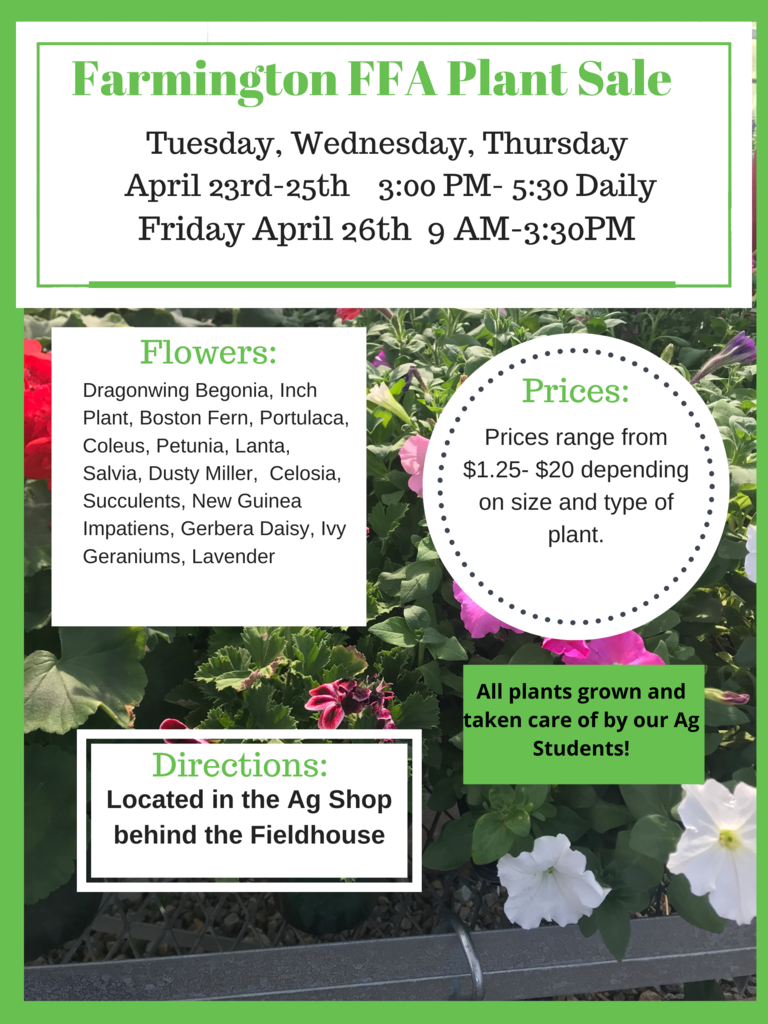 flowers in the background