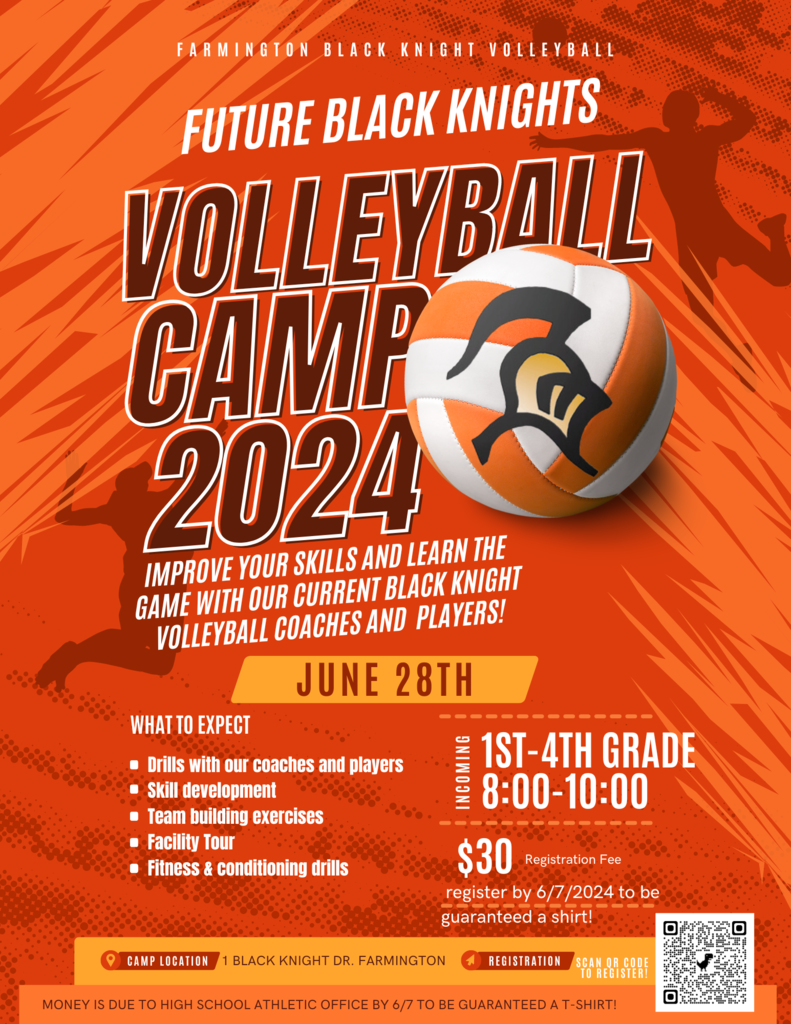 volleyball and knight logo