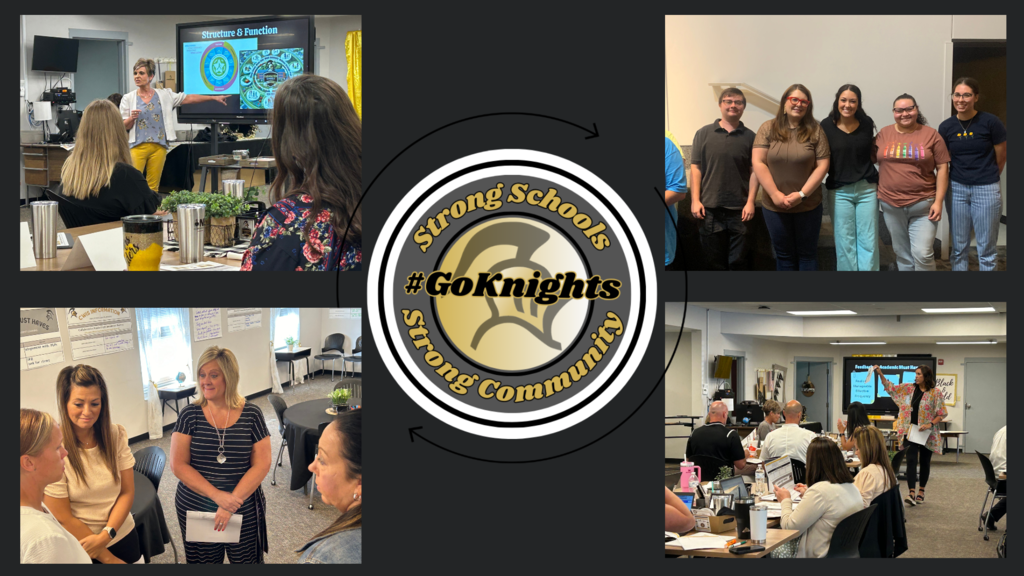 staff in various trainings