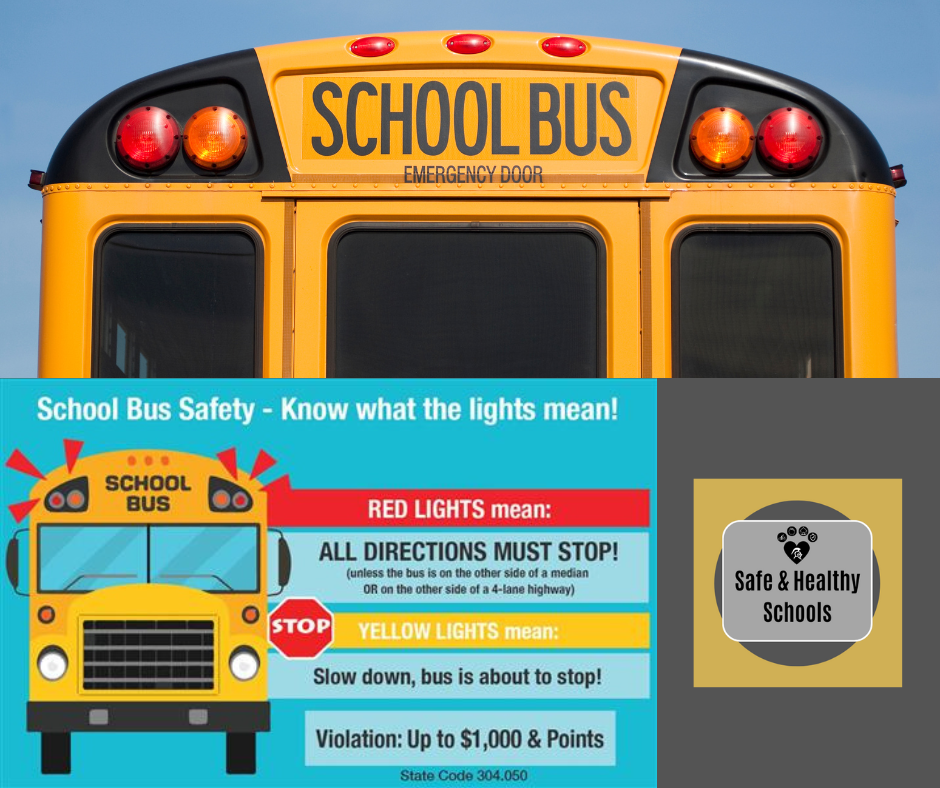 school bus safety