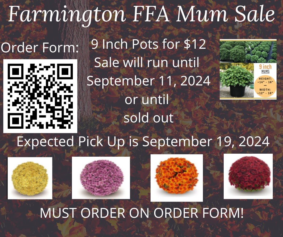 Farmington FFA Mum Sale