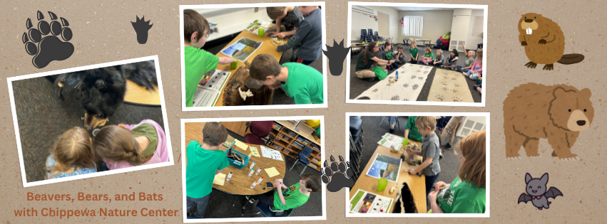 Beavers, Bars, and Bats with Chippewa Nature Center Elementary Students learning about animals