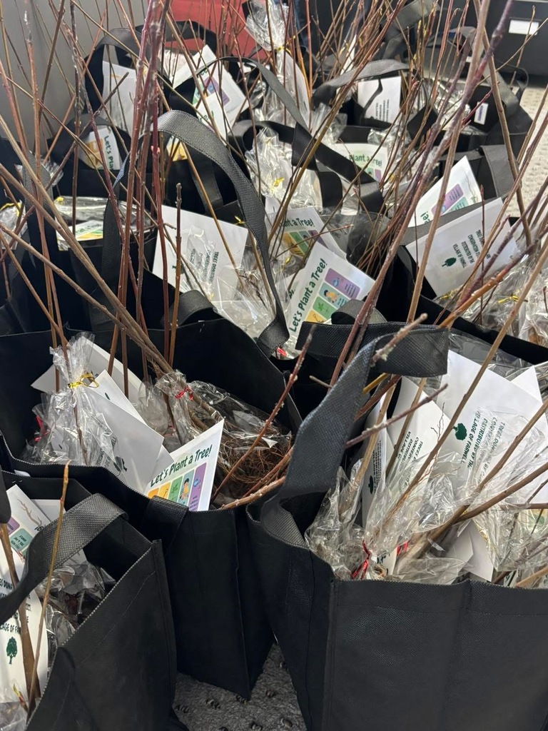 Trees donated by the Village of Farwell and the Clare Conservation District 
