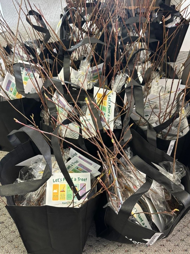 bags of trees donated by the Clare  Conservation District 