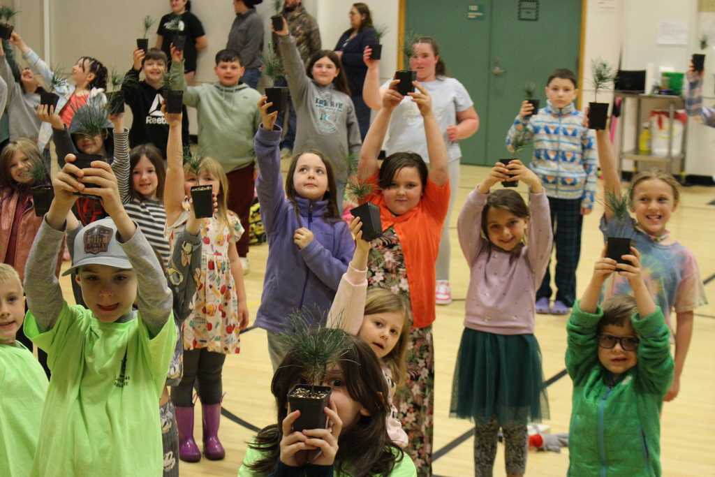 Last years free tree