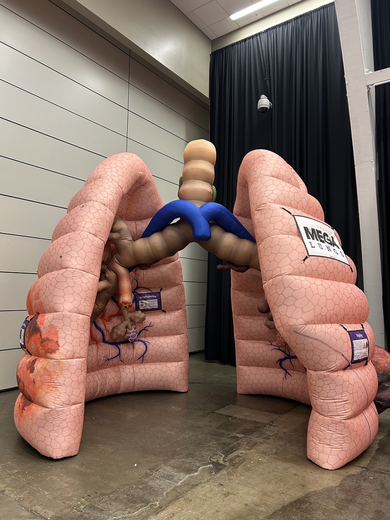 Lung inflatable 