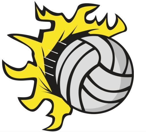 Volleyball