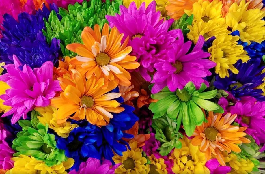 flowers