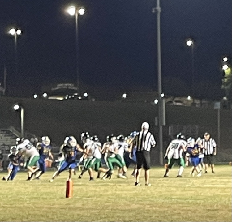 12-0 Greyhounds