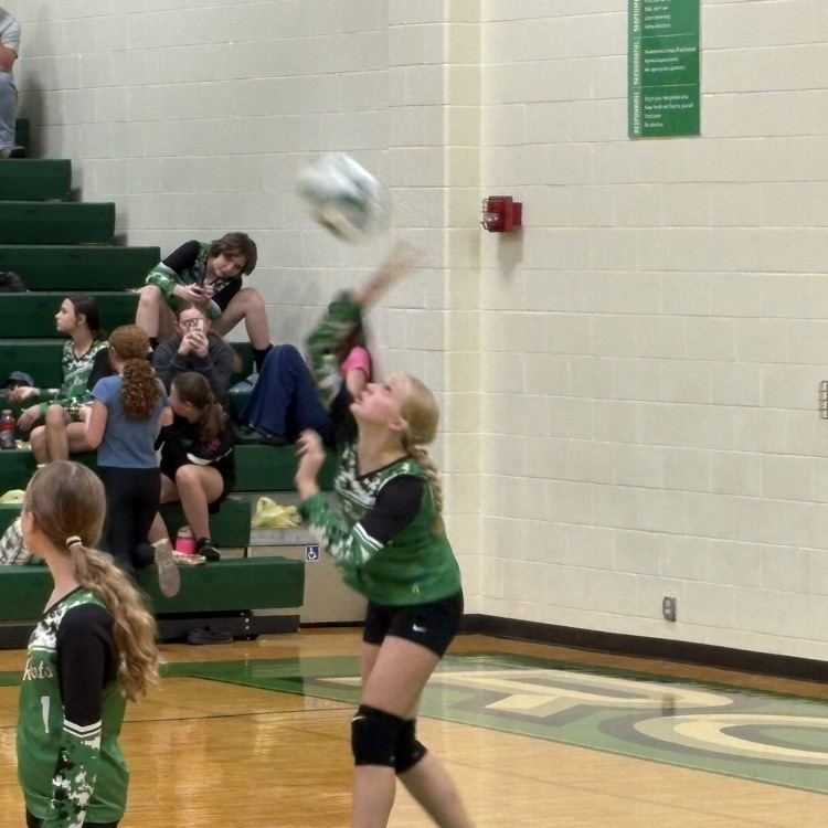Rockets serve the ball