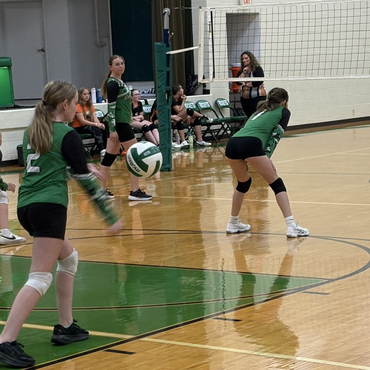 Rockets serve the ball