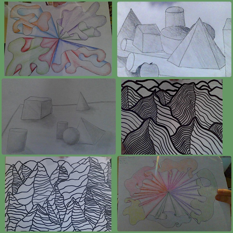 Still Life and Contour Projects