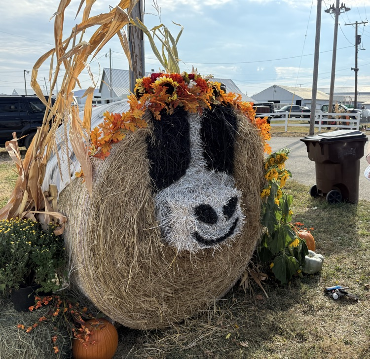 fccla straw sculpture