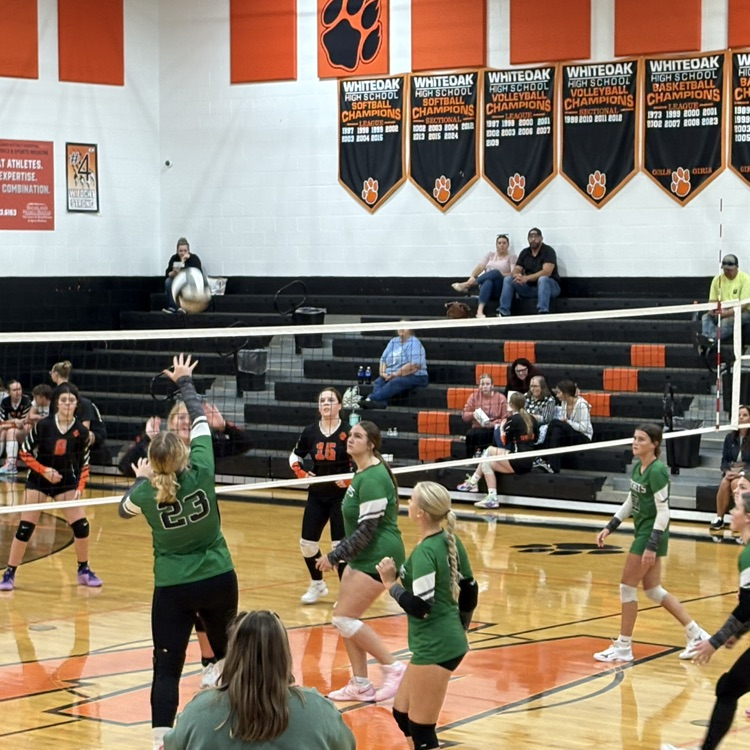 Rockets spike the ball