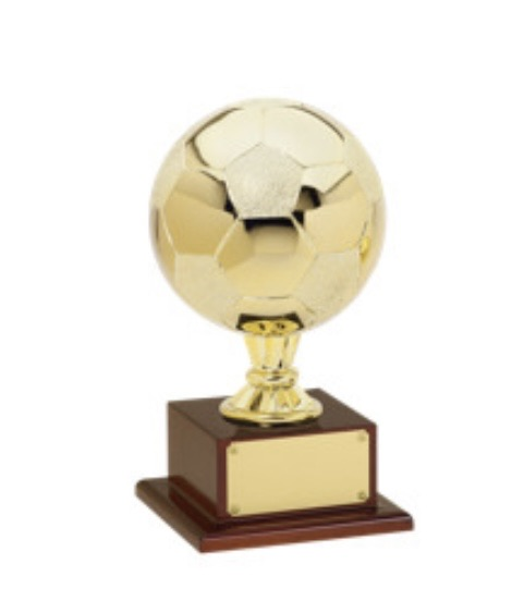 SHAC undefeated championship trophy