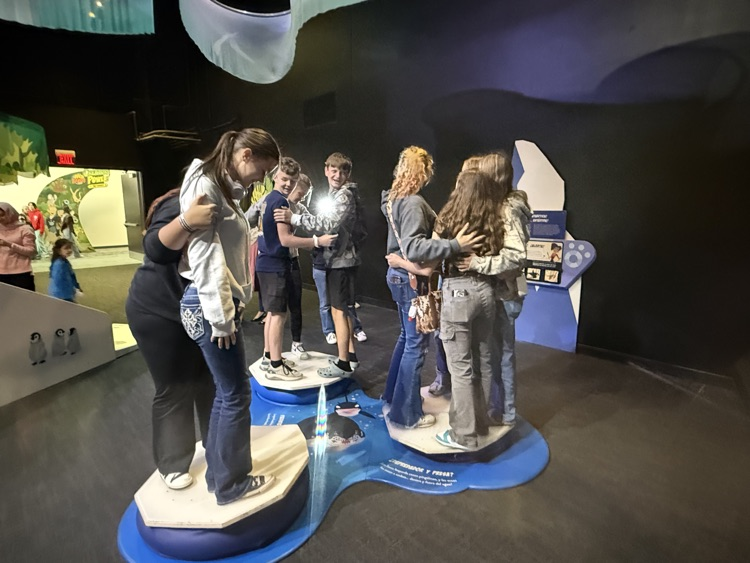 cosi trip