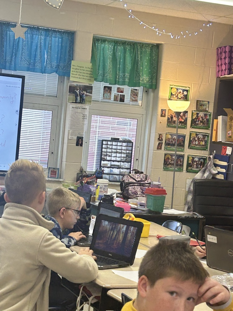 Students working hard in 4th grade on their project!