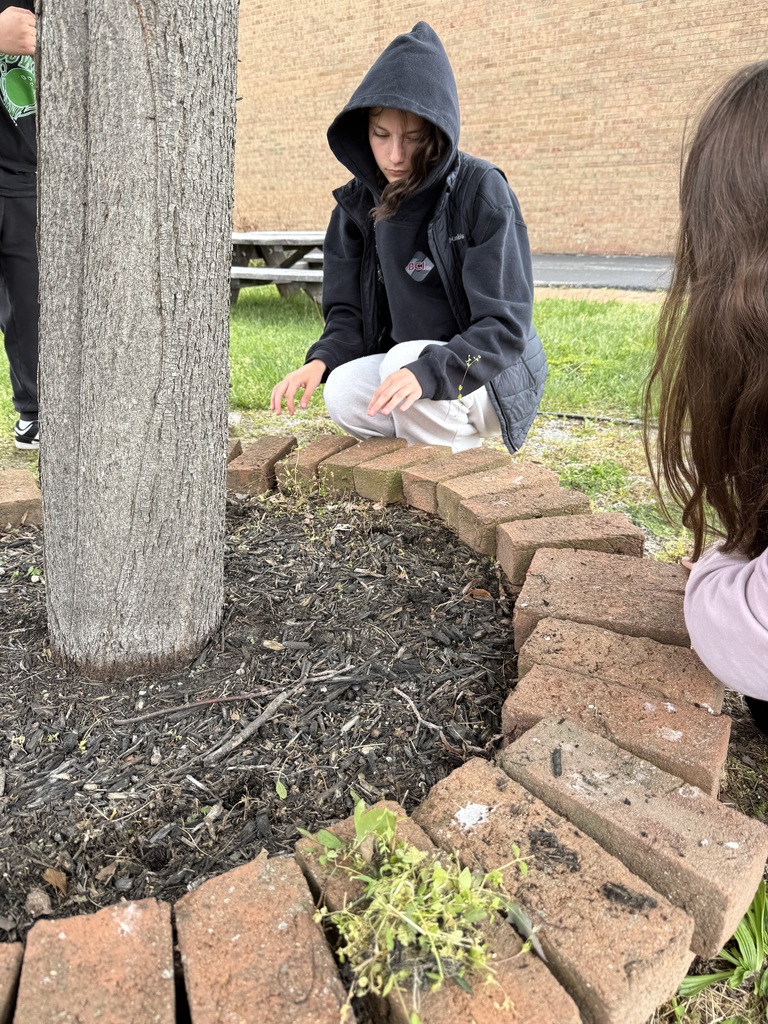 Even the tree needed some love