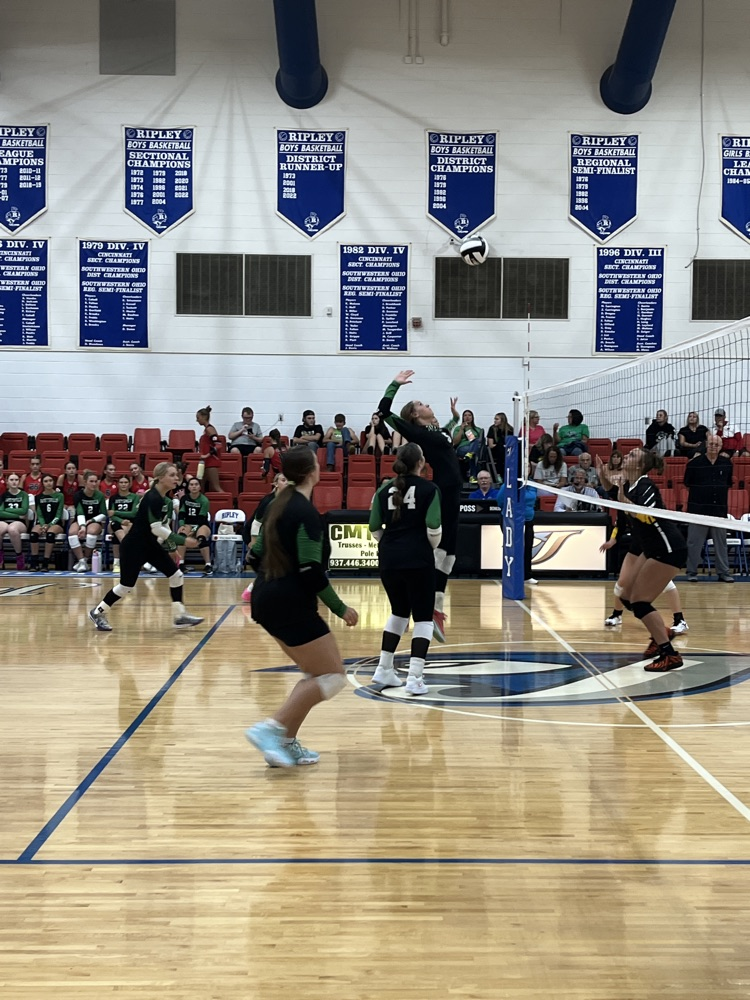 varsity volleyball preview