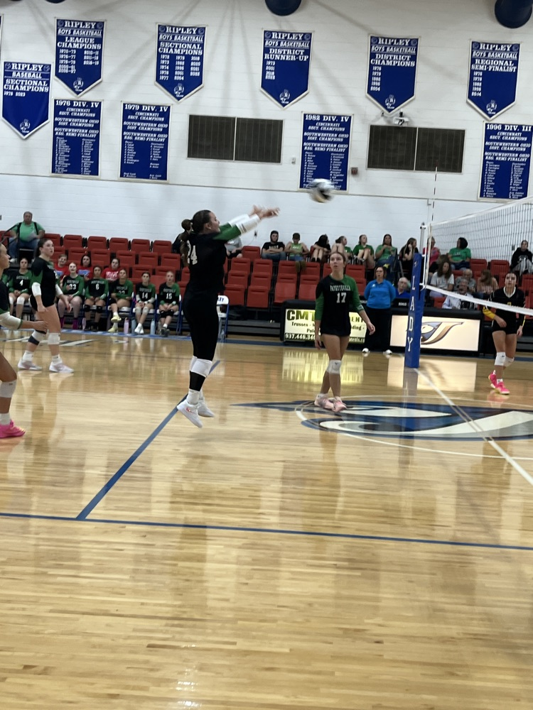 varsity volleyball preview