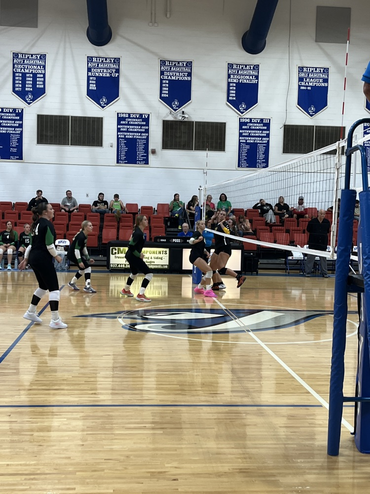varsity volleyball preview