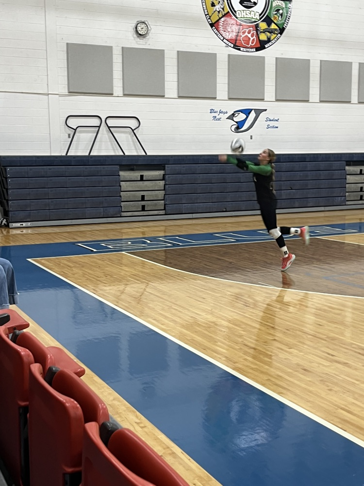 varsity volleyball preview
