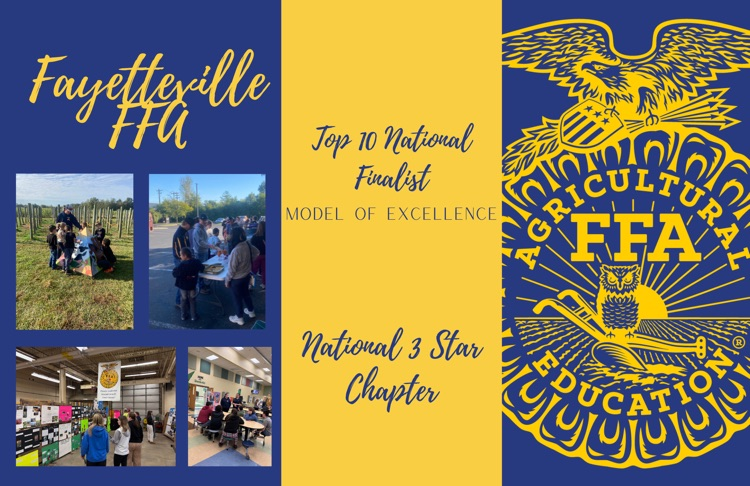 National 3 Star and Too 10 Finalist