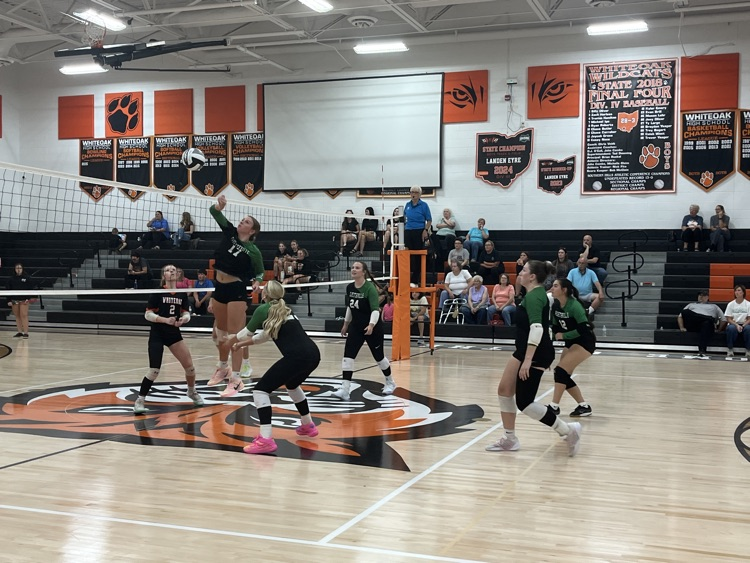 Varsity Volleyball at Whiteoak