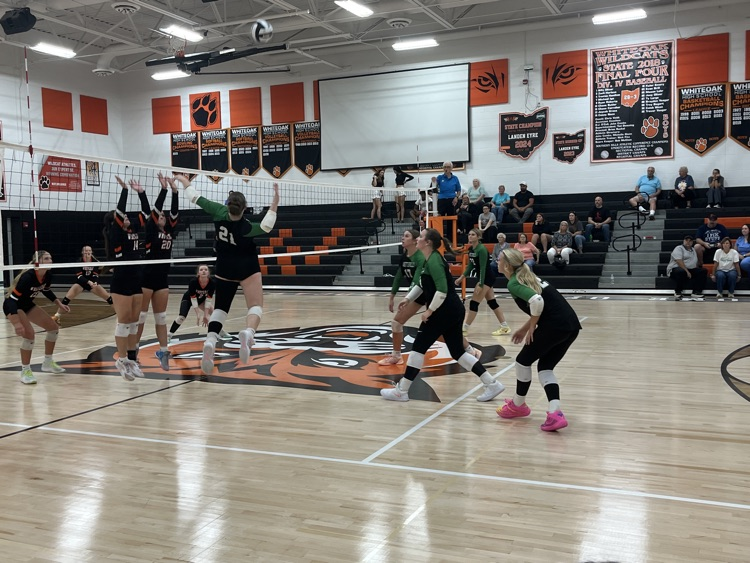Varsity Volleyball at Whiteoak