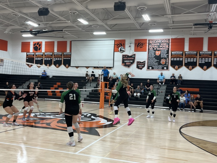 Varsity Volleyball at Whiteoak