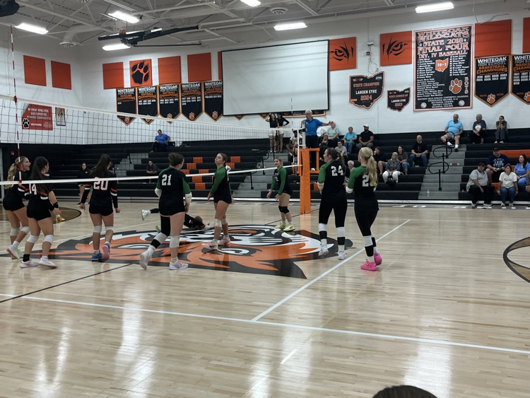 Varsity Volleyball at Whiteoak