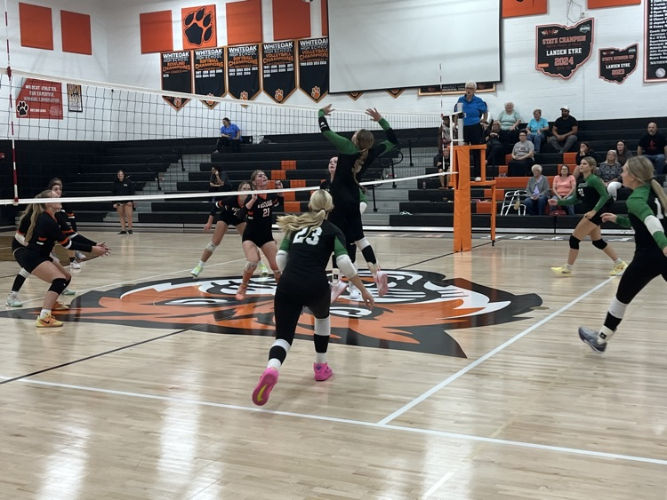 Varsity Volleyball at Whiteoak