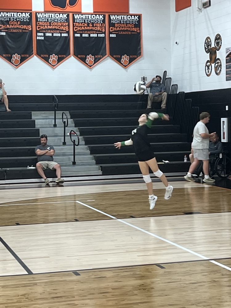 Varsity Volleyball at Whiteoak
