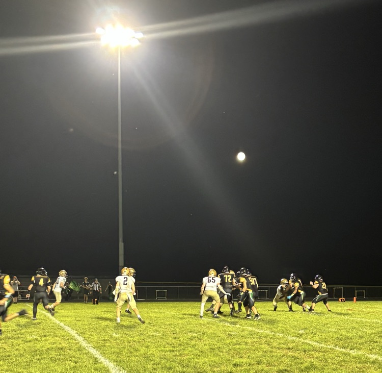🏈