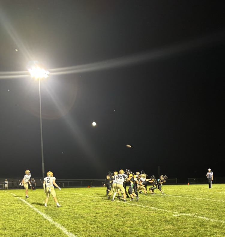 🏈