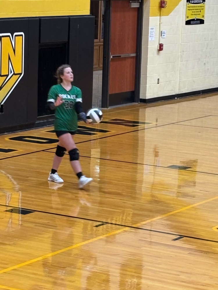 JV Volleyball at Georgetown 
