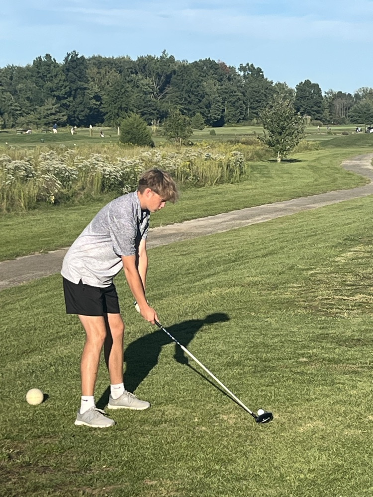 ⛳️