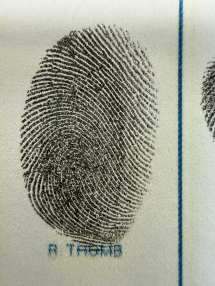 example retrieved