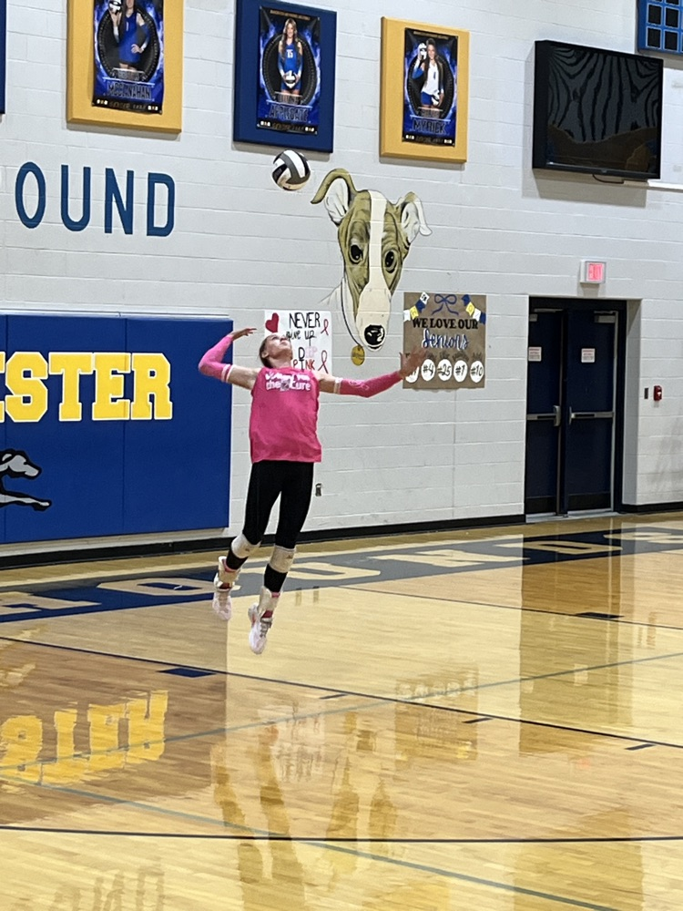 varsity volleyball at Manchester