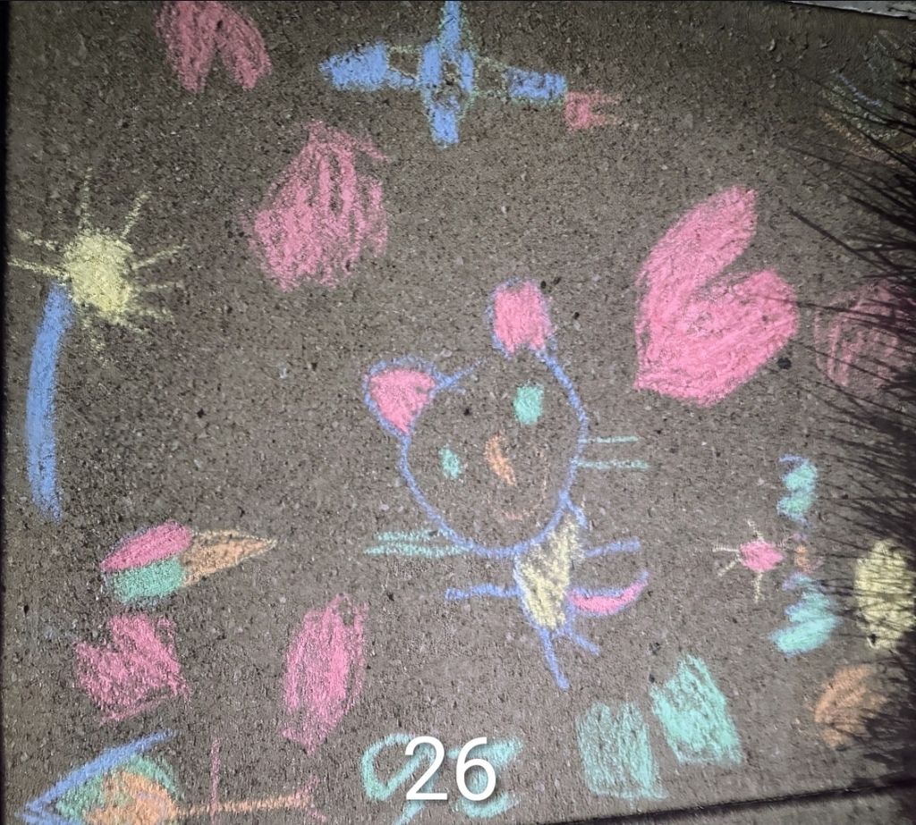 26