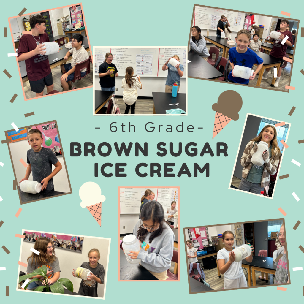 Brown Sugar Ice Cream