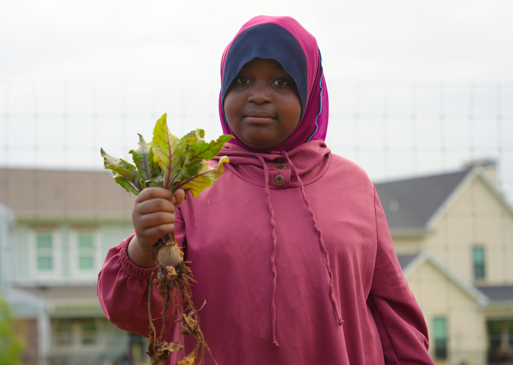Holcomb 4th grade students work on the Apple Seeds farm picking fresh vegetables and preparing them to eat.