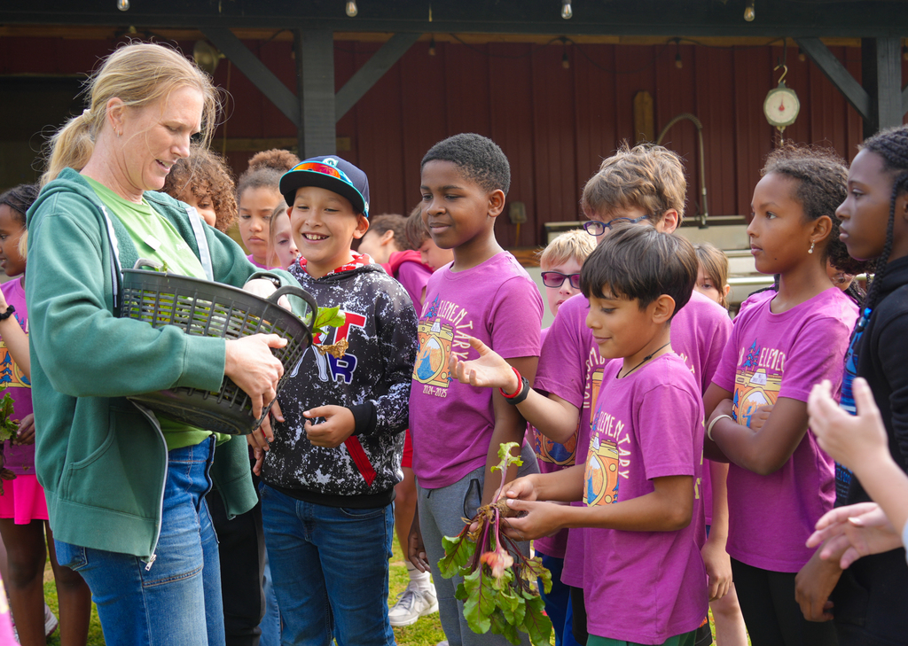 Holcomb 4th grade students work on the Apple Seeds farm picking fresh vegetables and preparing them to eat.